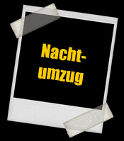 Nachtumzug 2010
